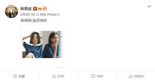 娱乐圈爆料陈思诚视频播放,娱乐圈爆料背后的真相揭秘